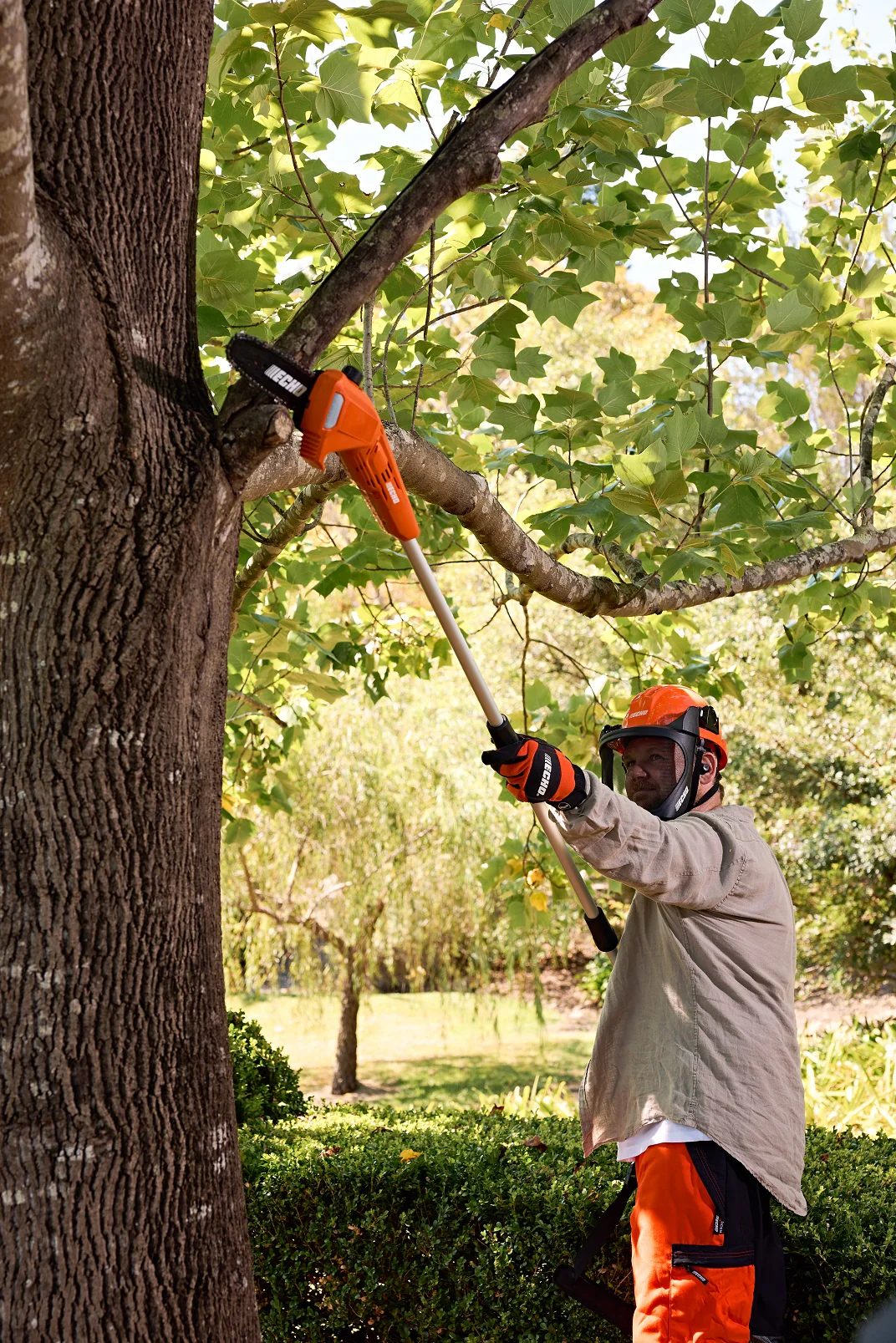 Echo DPPF-310 Battery Pole Pruner