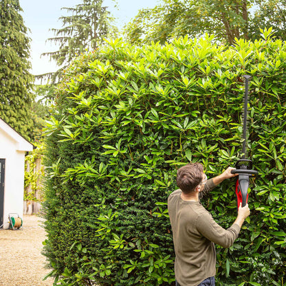 Honda Cordless Hedgetrimmer 65cm (36V Brushless)