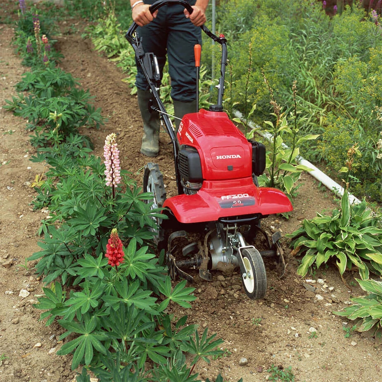 Honda FF300 57cc Petrol Rotary Tiller