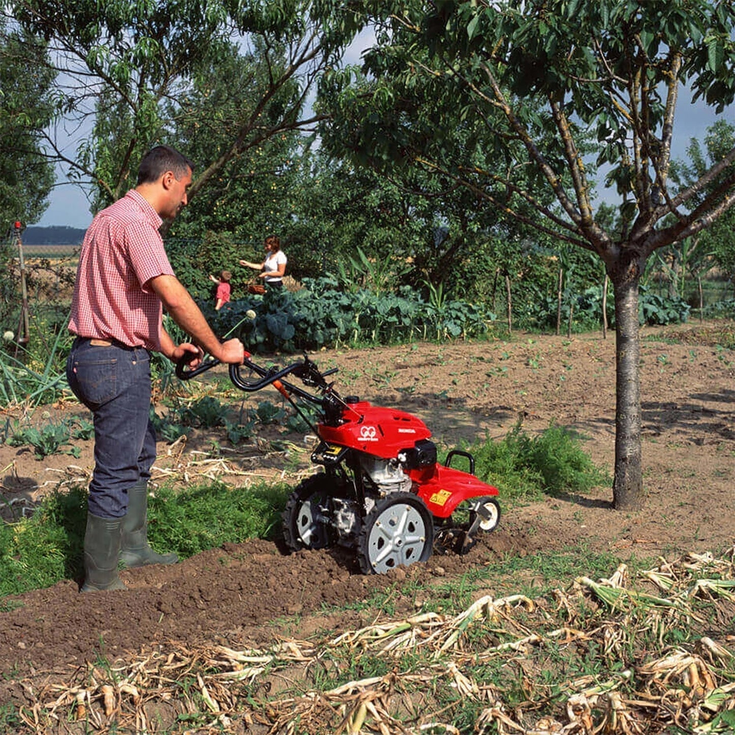 Honda FF500 160cc Petrol Rotary Tiller